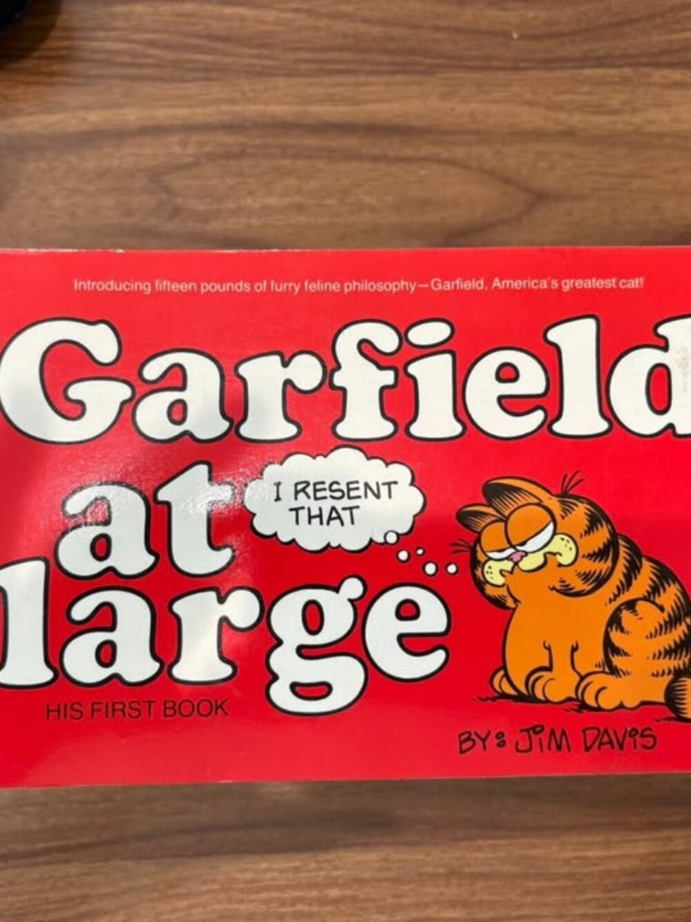 Vintage Garfield Comic Strip Paperback Book Lot – Complete Sequential Set #1 thr